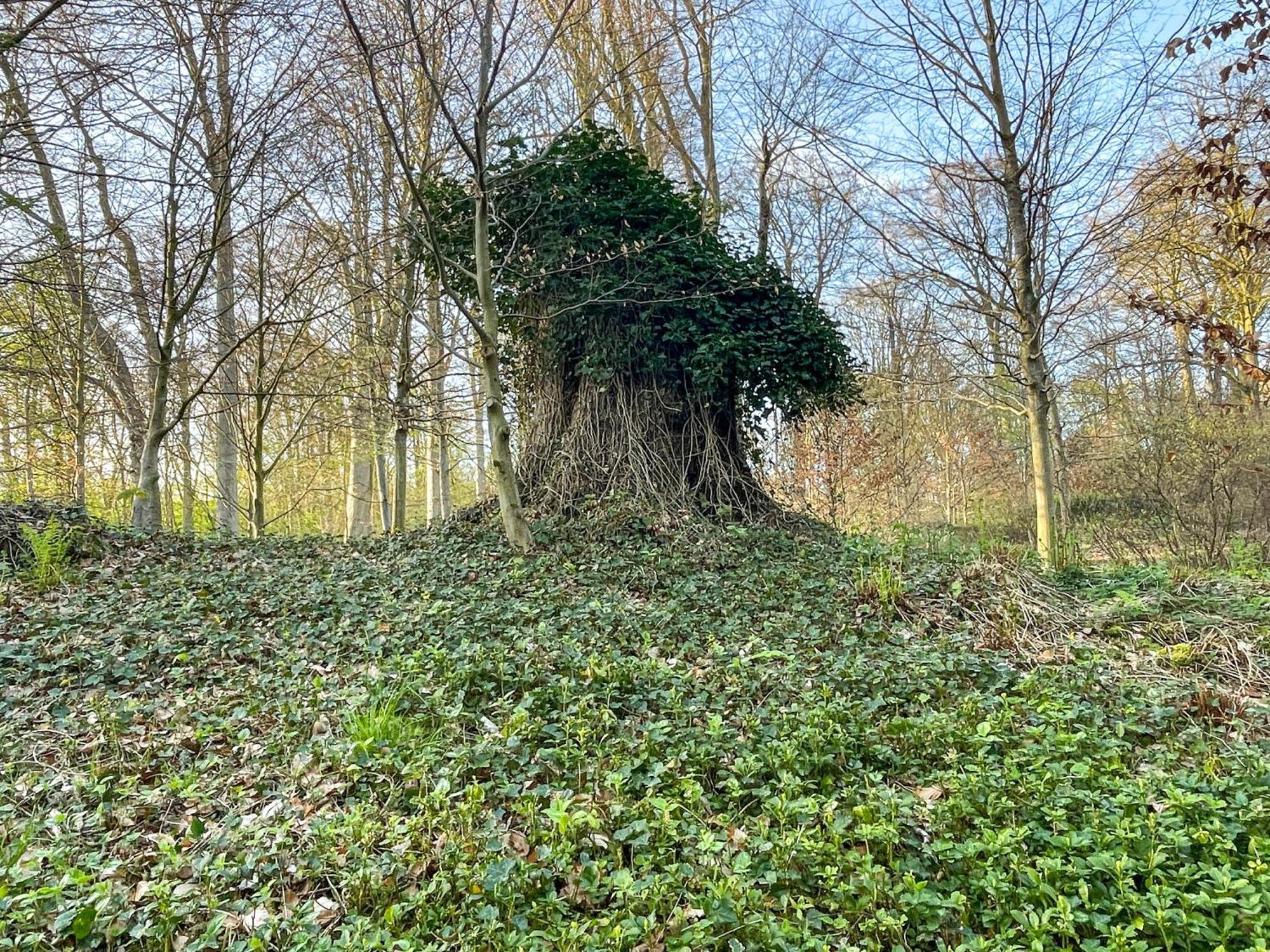 Landhaus Beim Knoops Park BRE Exteriér fotografie